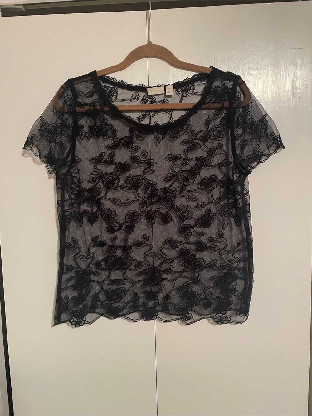 Hinge, Sheer Black Lace Short-Sleeve Top Size M